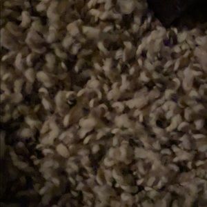 Meet your Posher, Shane